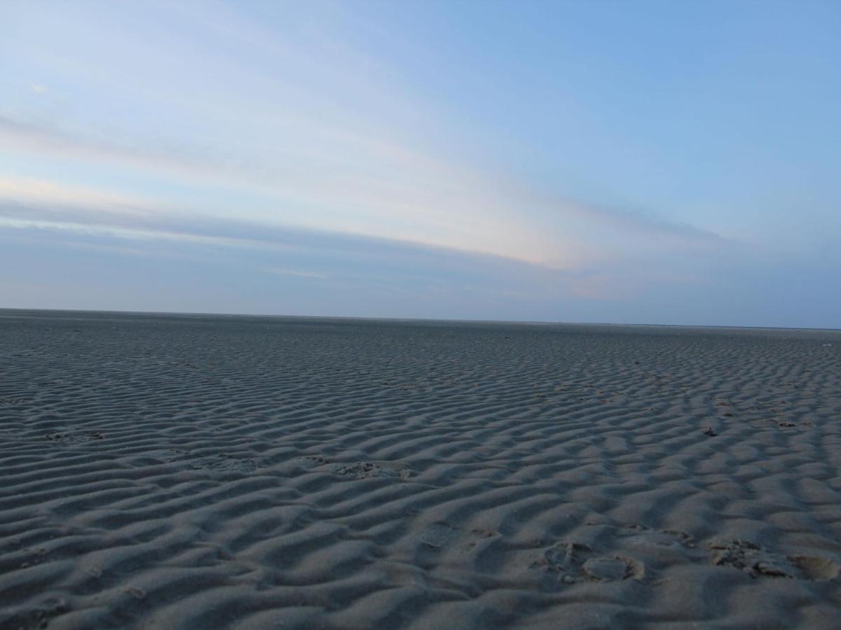 Westermient Gorgeous Holiday Home In Texel With Sauna מראה חיצוני תמונה